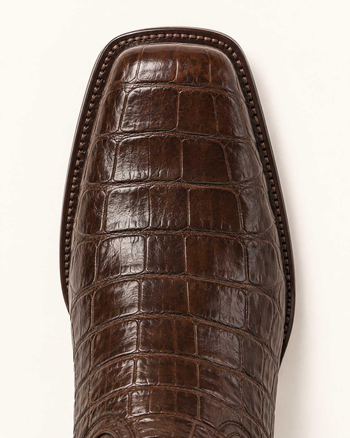 La Cacique in Tobacco Crocodile