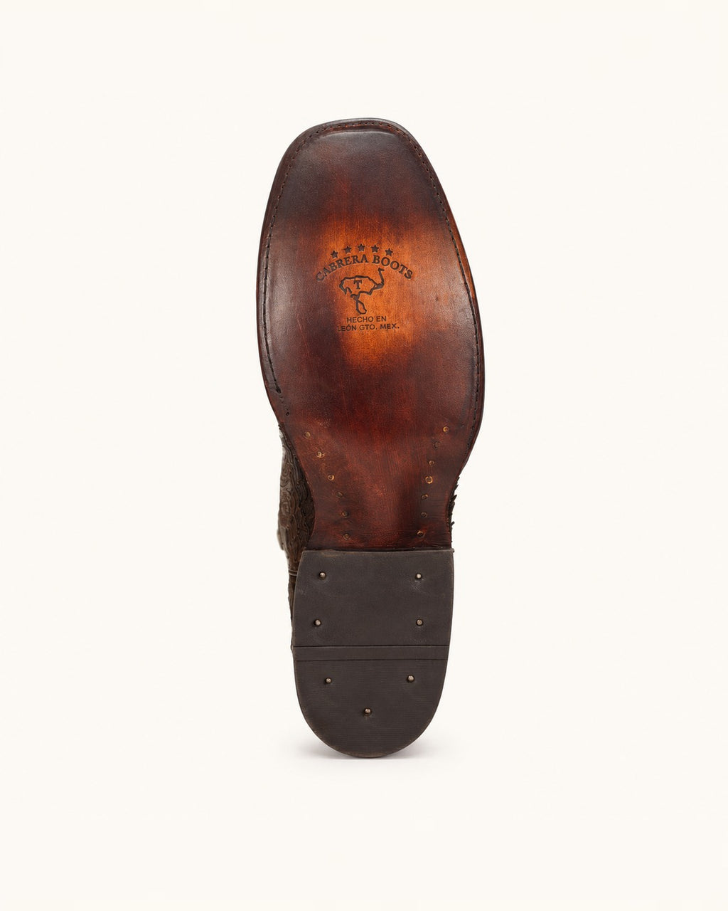 La Titán in Chocolate Brown Jumbo Python