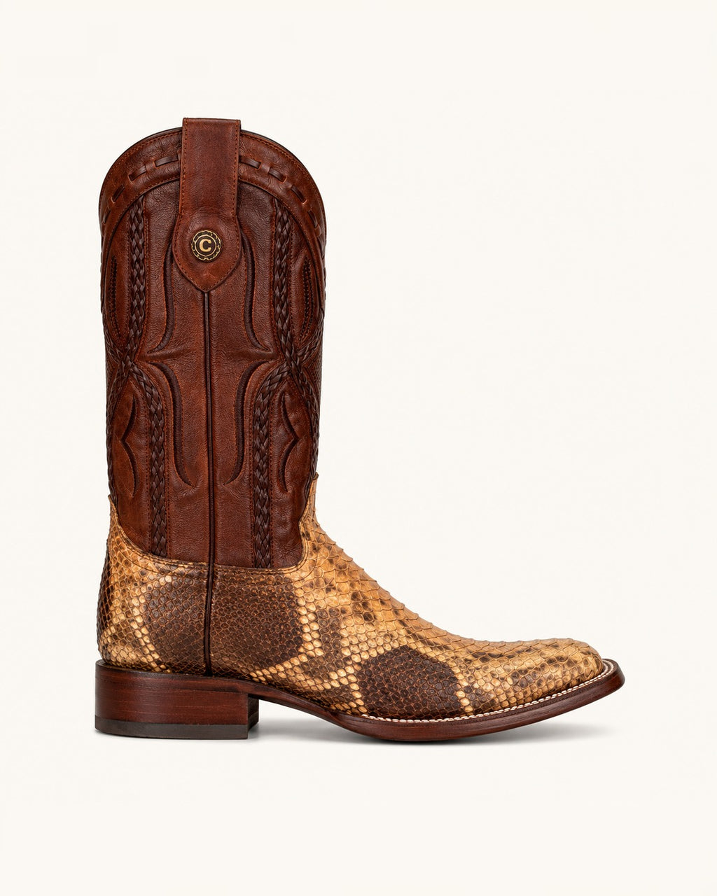La Tigre in Spotted Honey Python