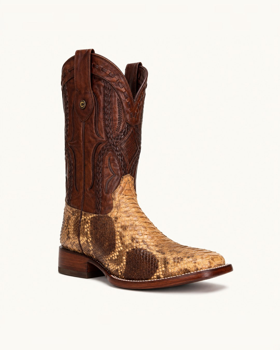 La Tigre in Spotted Honey Python