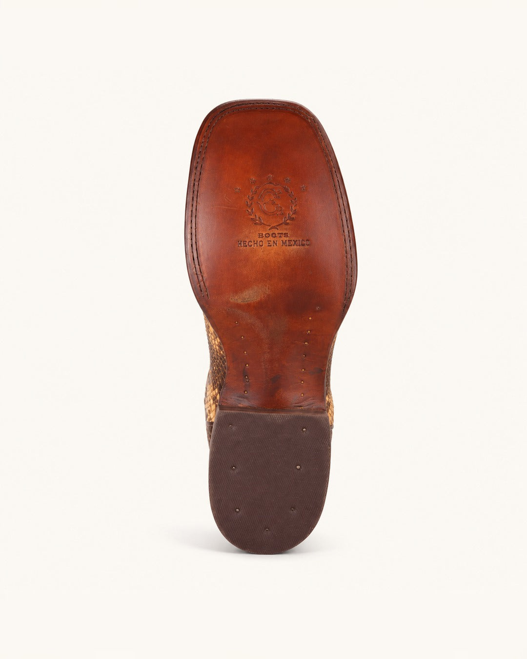 La Tigre in Spotted Honey Python
