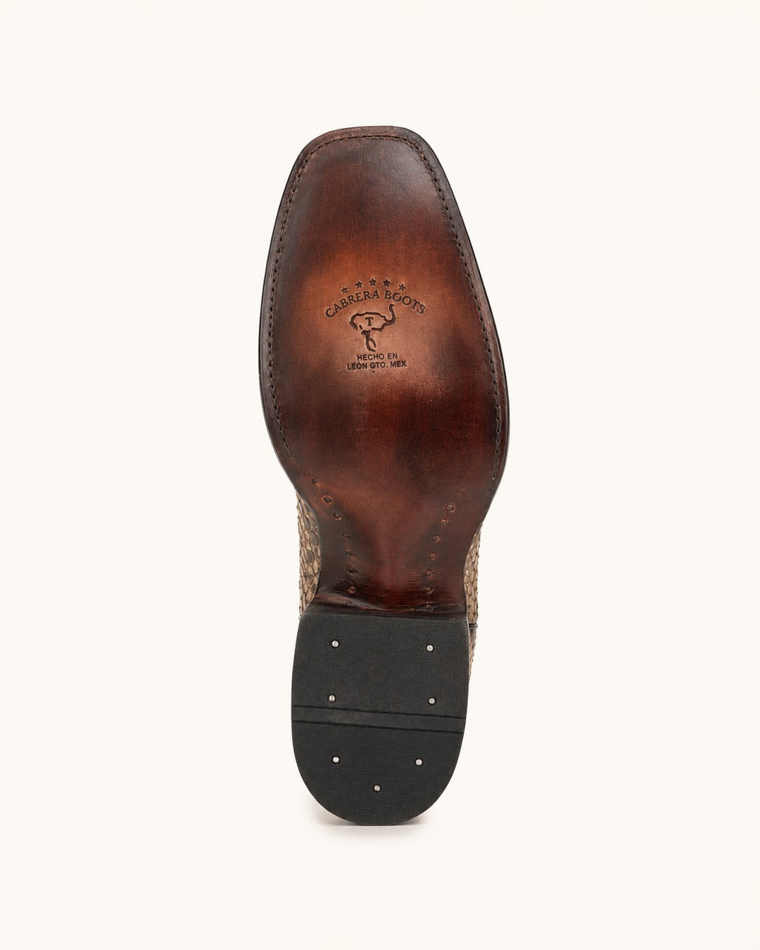 La Coralillo in Natural Bone Python