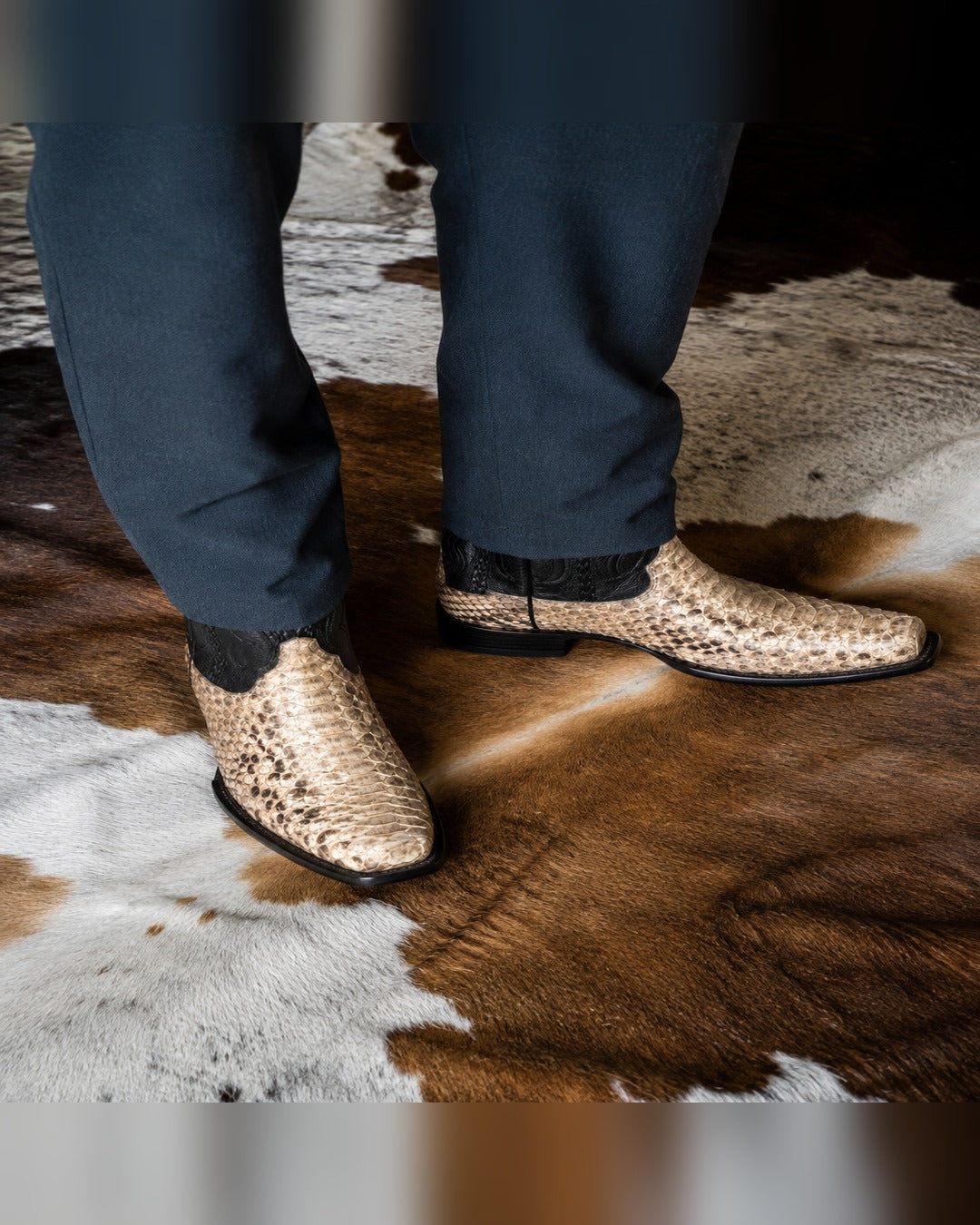 La Coralillo in Natural Bone Python