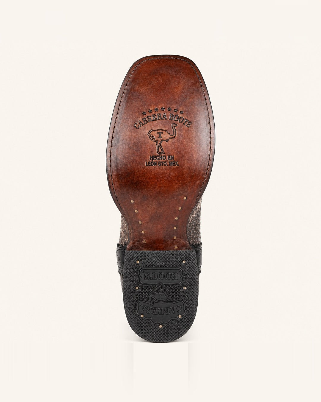La Cascabel in Natural Black Python