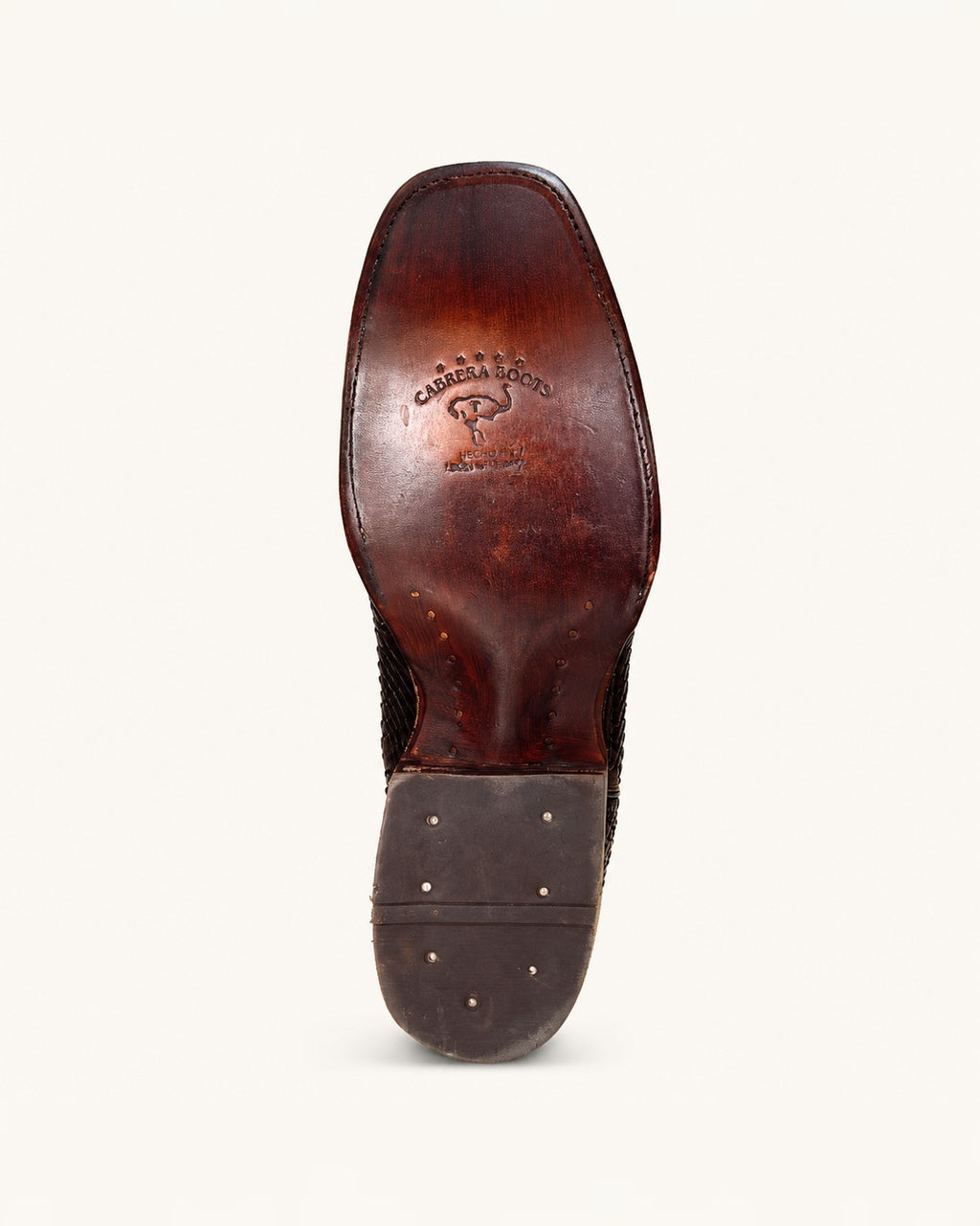La Ocaso in Shaded Brown Python