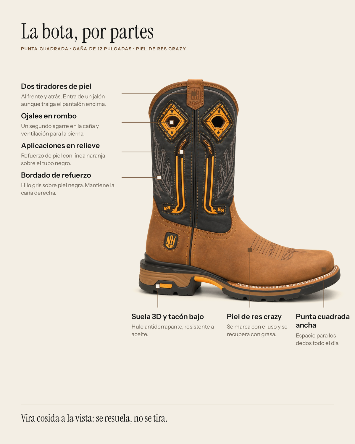 La Cuadrilla in Honey Crazy Horse